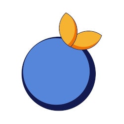 Blue Orange logo